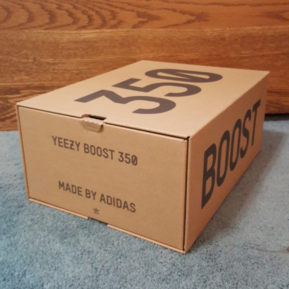 Adidas Yeezy Boost 350 V2 Carbon